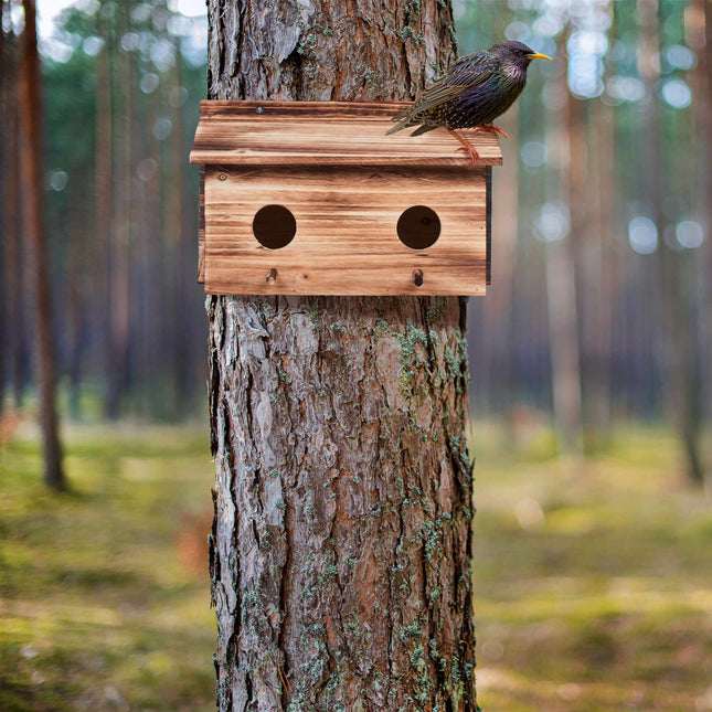 Nest for starlings