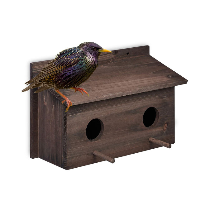 Nest for starlings