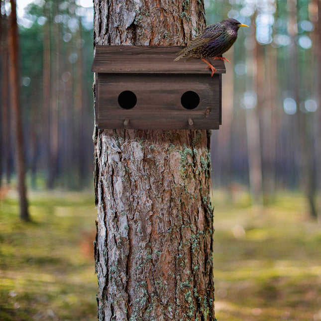 Nest for starlings