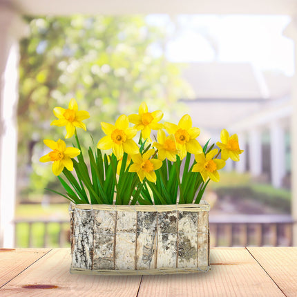 Oblong flower pot Birch Set of 3