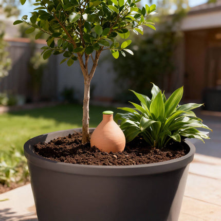 Olla Irrigation Pot, 3L, Porous Clay, Water-Saving