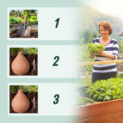 Olla Irrigation Pot, 3L, Porous Clay, Water-Saving