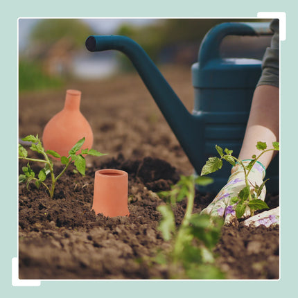 Ollas Clay Watering Pots, 1.5L, Set of 2