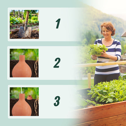 Ollas Clay Watering Pots, 1.5L, Set of 2