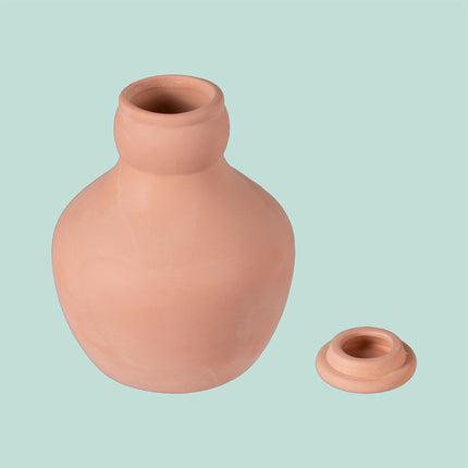 Ollas Irrigation Set, 500ml Clay Pots, 3-Pack