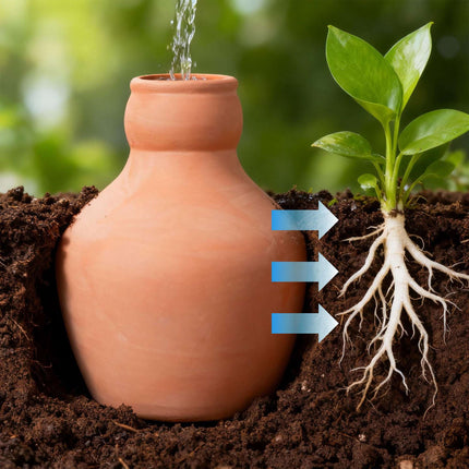 Ollas Irrigation Set, 500ml Clay Pots, 3-Pack