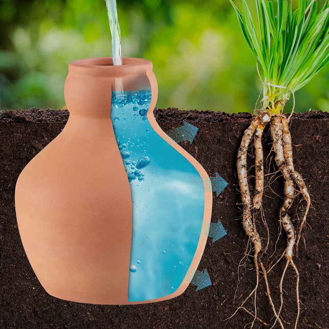 Ollas for irrigation 550 ml 3-pack