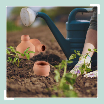 Ollas for irrigation 550 ml 3-pack