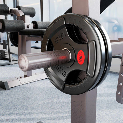 Olympic Weight Plates Set, 2 x 10 kg, 5 cm Hole, Black