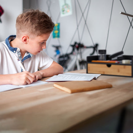 Organization box for desks in bamboo