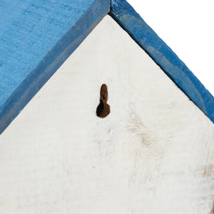 Ornamental box blue-white