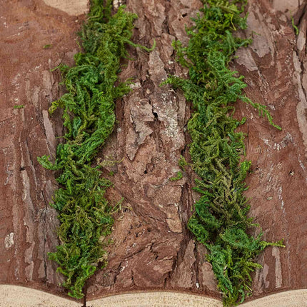 Ornamental box with bark