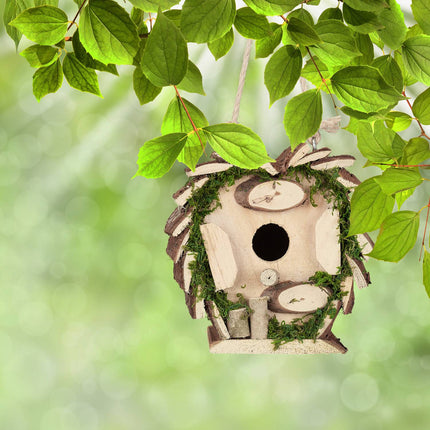 Ornamental box with moss