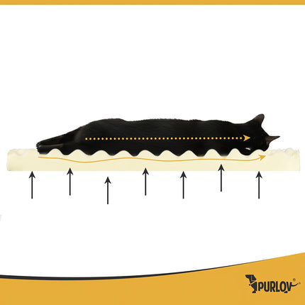 Orthopedic Pet Bed, Medium 80x65 cm, Foam, Non-Slip