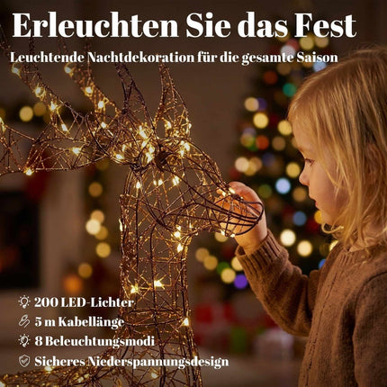 Outdoor Christmas Reindeer Set with 200 LED Lights, Timer