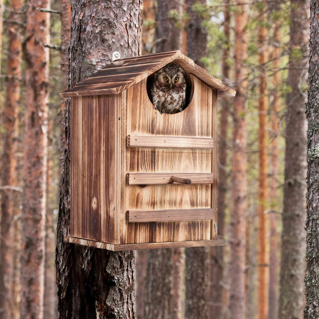 Owls Nest Box Wood