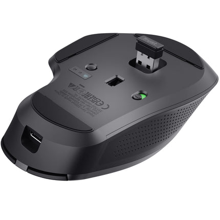 Ozaa+ Multi-connect Wireless mouse