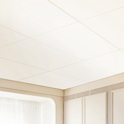 PVC Drop Ceiling Tiles 10 Pack, 24 x 48 in, 5 mm Thick, Smooth White