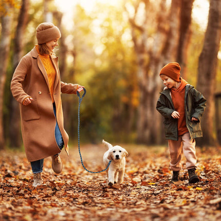 Padded dog leash black 150 cm