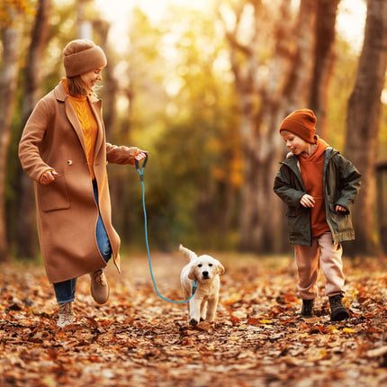 Padded dog leash blue 150 cm