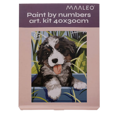 Painting by numbers 40x30cm - Maaleo dog 22780