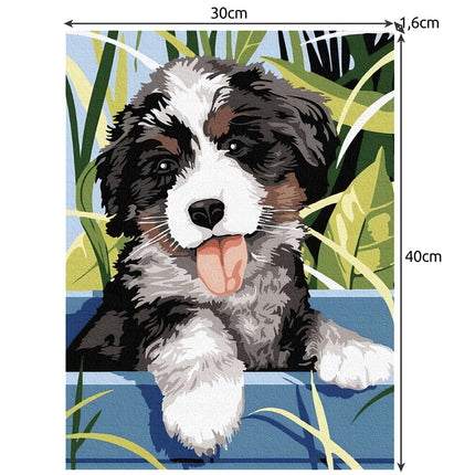 Painting by numbers 40x30cm - Maaleo dog 22780