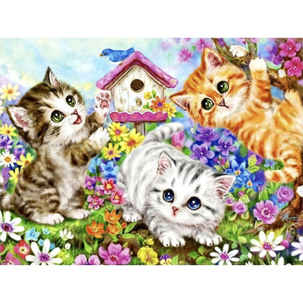 Painting by numbers 40x50cm - Maaleo cats 22781
