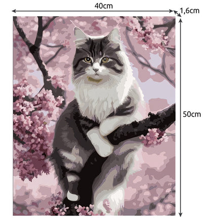 Painting by numbers 40x50cm - Maaleo kitten 22783