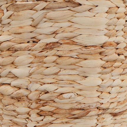 Paper basket in water hyacinth