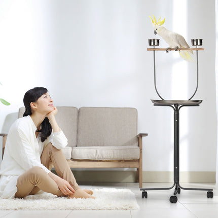 Parrot perch with stand
