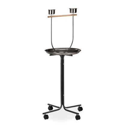 Parrot perch with stand