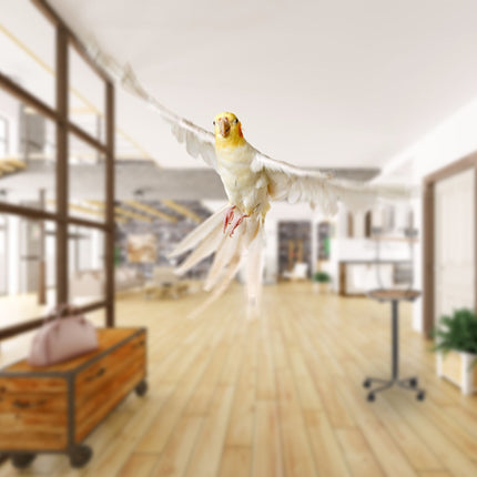 Parrot perch with stand
