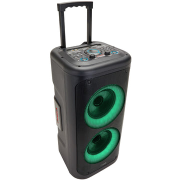 Party speaker with microphone