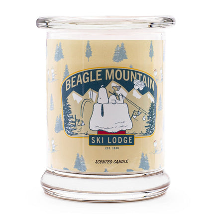 Peanuts Scented Candle in Glass Jar, Gift-Ready