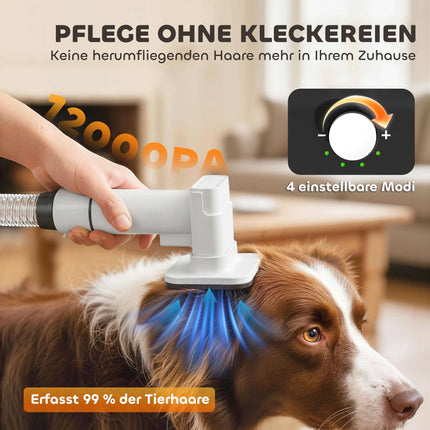 Pet Grooming Dryer & Trimmer, Quiet Motor, 5-in-1 Tool