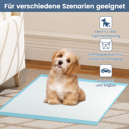Pet Training Pads, Leakproof, 60x43 cm, 300 Pack