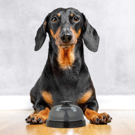 Pet training bell, set of 4