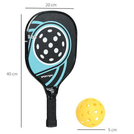 Pickleball Set: 4 Paddles, 4 Balls, Carry Bag, Blue/Black