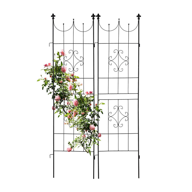 Picture frame Set of 2 20 x 30 cm
