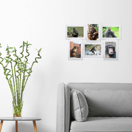 Picture frame for multiple photos