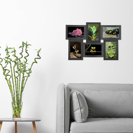 Picture frame for multiple photos