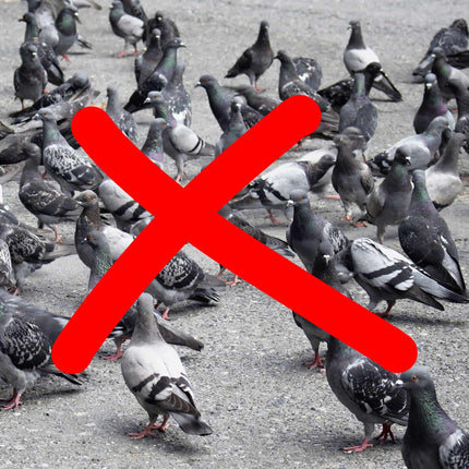 Pigeon Scare Crow Set of 2