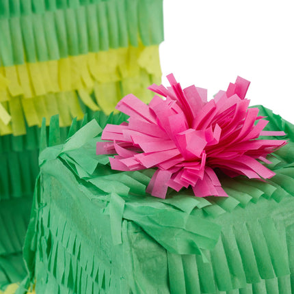 Pinata cactus