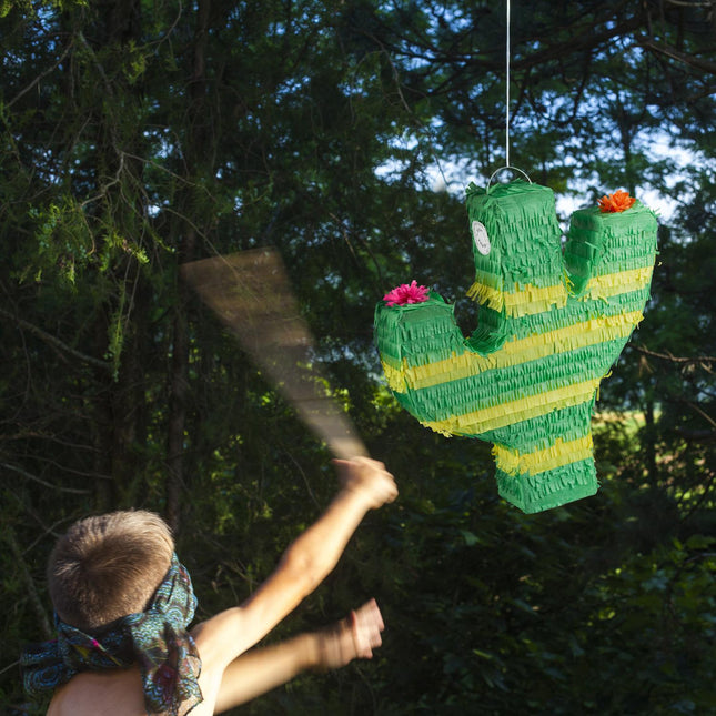 Pinata cactus