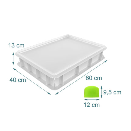 Pizza Dough Proofing Box with Lid, Holds 12–16 Balls