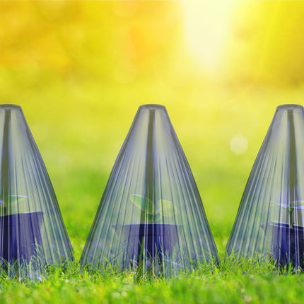 Plant Protection Cones, Blue, Set of 32, PVC Material