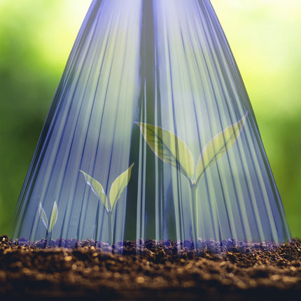 Plant Protection Cones, Blue, Set of 32, PVC Material