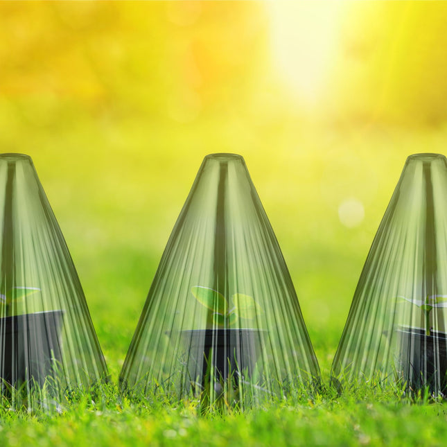 Plant Protection Cones, Dark Green, Set of 32