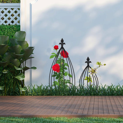 Plant Supports Set of 2 – Metal Climbing Aid, Bulb Shape