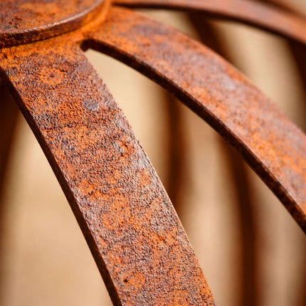 Plant Supports Set of 2, Rust Crown Trellis Rings